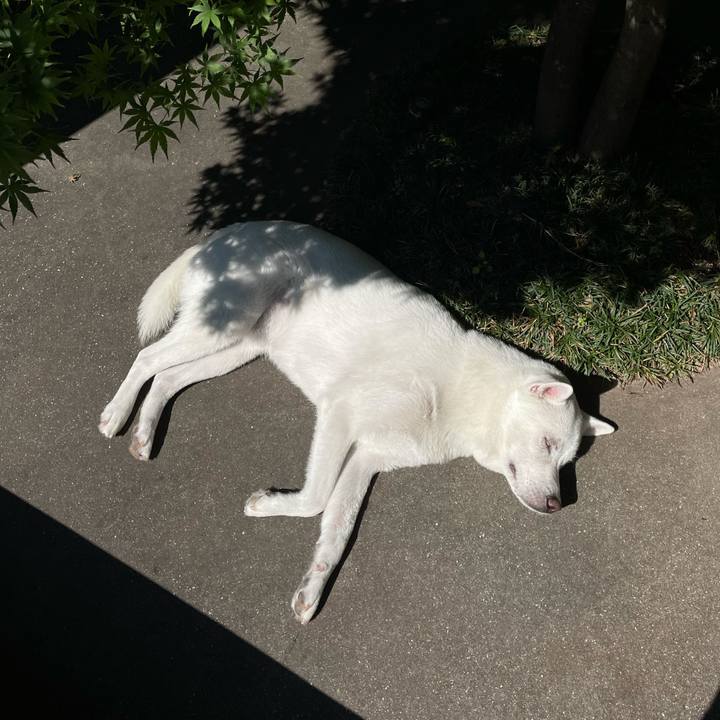 A5e269c8 8e35 4561 ad54 ca398f1c5b7b 1621663932590