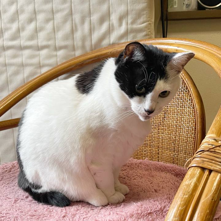 A5e294af a0e0 4b6b ac00 aba3ac42f8fc 1767653182538