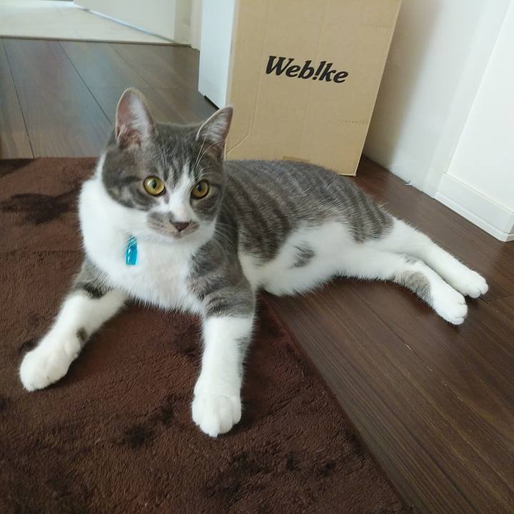 A5e2ddc8 dc55 49dc 9d2c b02890a48b17 1578031432669