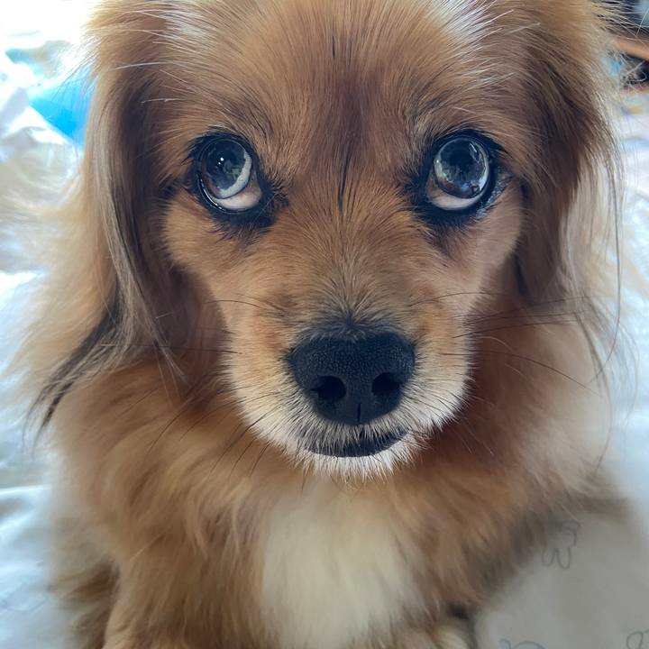 A5e2e6c0 82a3 4122 80c4 304dbb038c62 1651365790993