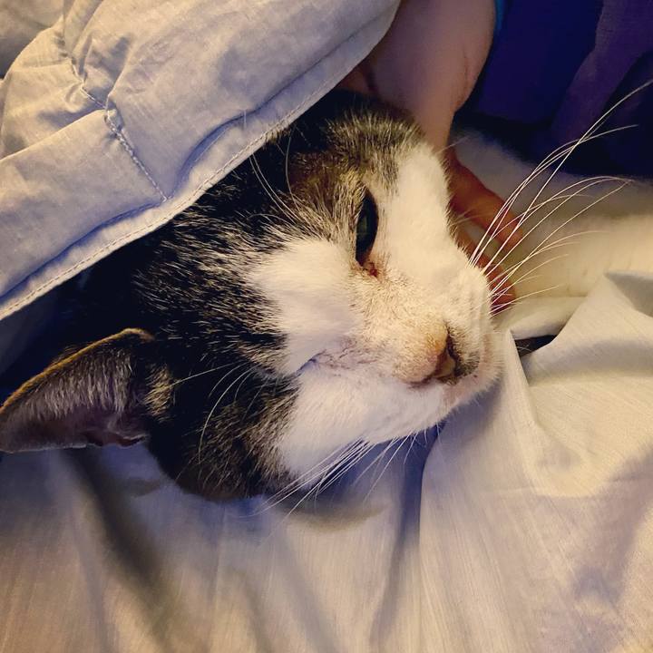 A5e2f78f 8cb7 4479 a322 8b9114813305 1614605055520