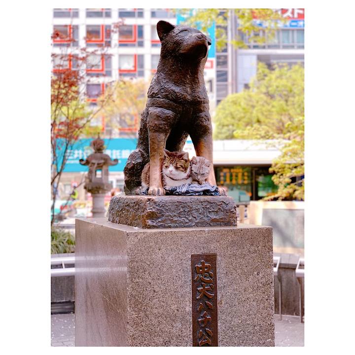 A5e31470 76c9 4d75 bfdc 1956ed7db459 1554444590325