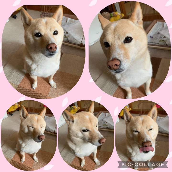 A5e33471 aec0 4736 bf3a 241fb3f59d33 1645224188166