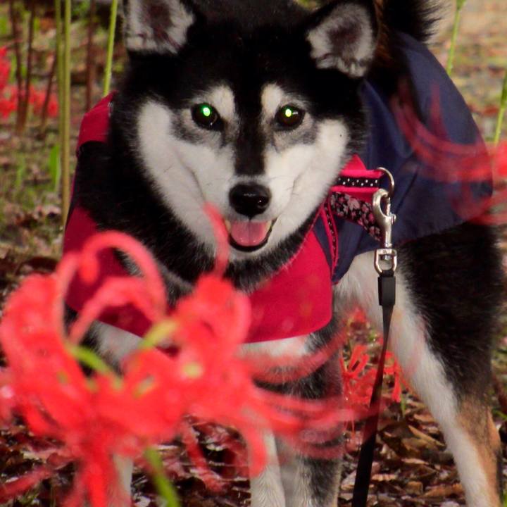 A5e34479 ecae 47f5 9e2b 1ad96b95f3de 1630281943389