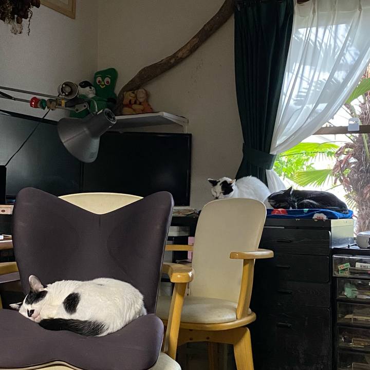 A5e34f62 ce2a 451d a61b 9fb37241937b 1665989784882