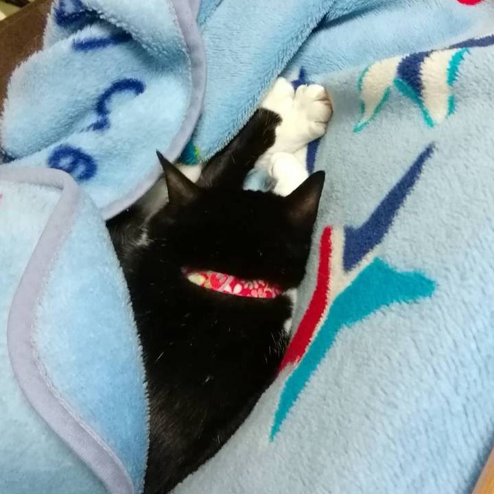 A5e36e34 806c 4135 af0a 23ae7757be49 1578668275793