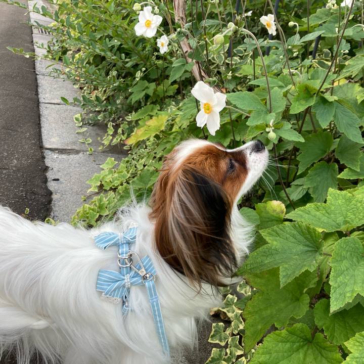 A5e39eb6 85ce 4bc2 92df e07deafcbe22 1631259231479