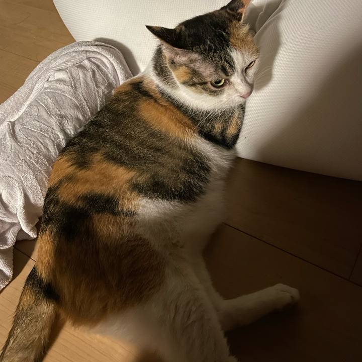 A5e3ad5f 9e0b 4ab7 aeae 5ef1c2d141e1 1690713808292