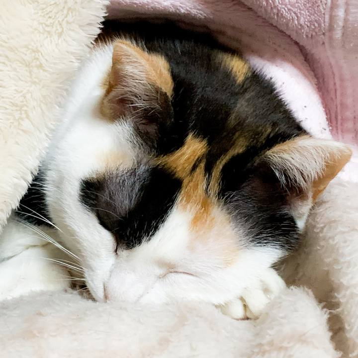 A5e3c5db b978 41a5 8711 72749f6095ac 1587174335635