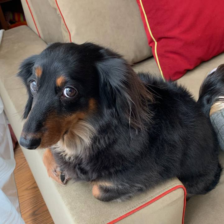 A5e3fb6f 4c5f 44a2 967a 7a1d79b58499 1705214127226