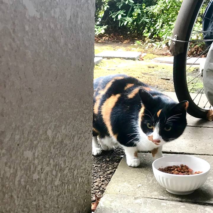 A5e41714 d568 444d 9989 edf0fc746c38 1514108902086