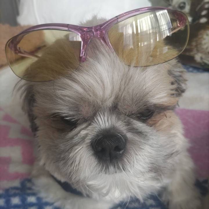 A5e46480 1efc 42be a263 1fdb2d2735bf 1762168524423