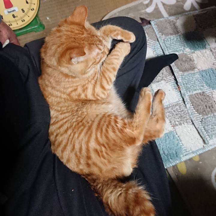 A5e47a49 937a 4540 9d88 f8d7a8435b6f 1639911952566