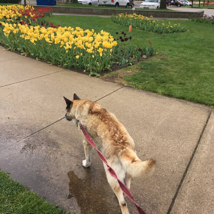 A5e47df8 d680 4bb4 862b ea512b817bc2 1526432513891