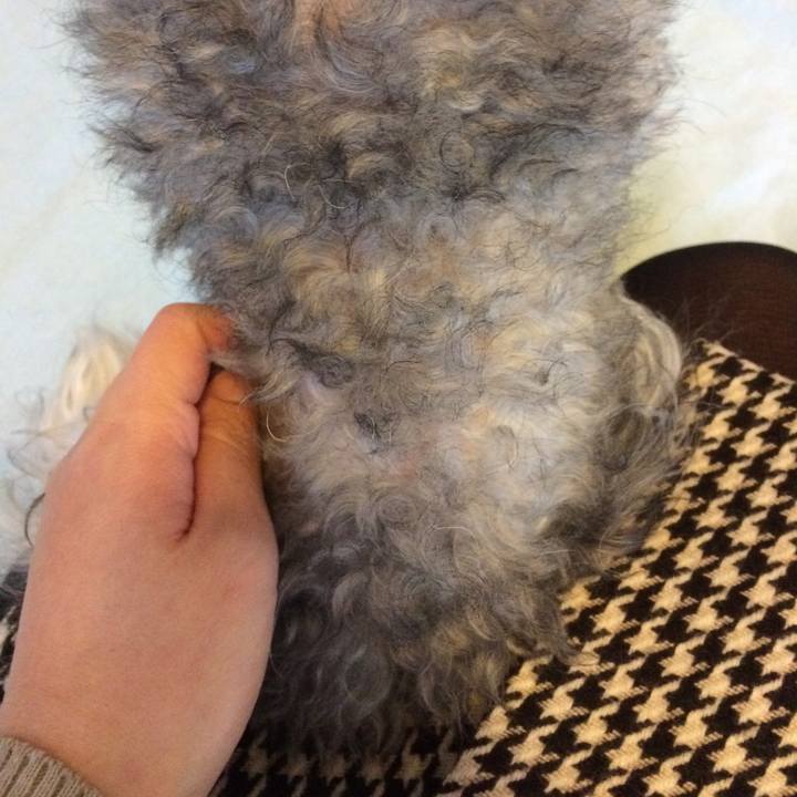 A5e4837d 5a6e 4b3a 850d 48739989e4f9 1515540215618