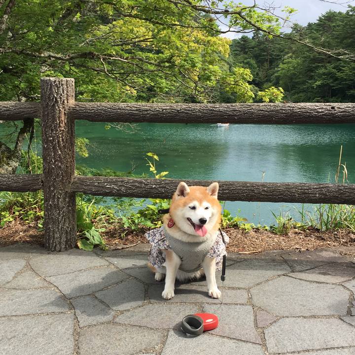 A5e487a6 fd6d 4b61 b9b1 e58776038b1c 1566471356994