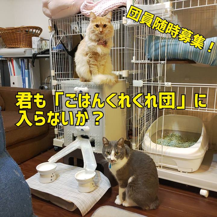 A5e4938a 2099 4b65 bf48 fb3ae46e36fe 1669629469548