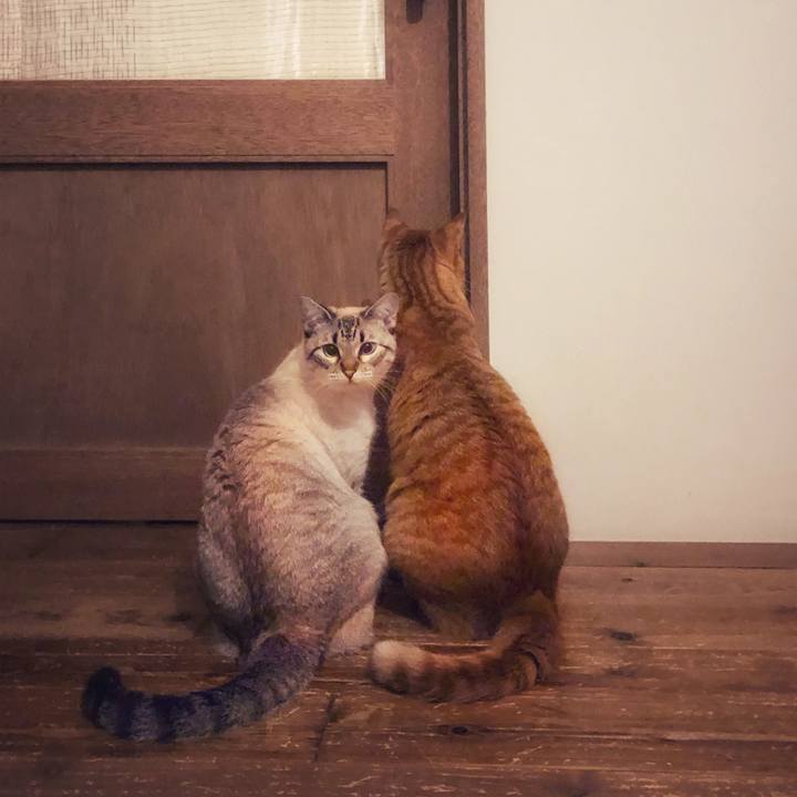 A5e4ad3e dbae 469a ab77 038273a33e9b 1745750020286