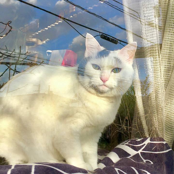 A5e527a2 0f87 41d3 a16c 2fb455e94cbf 1580871457282