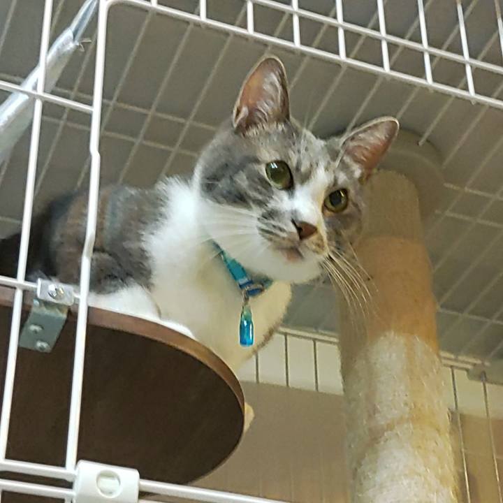 A5e52e04 3a71 49a8 a571 32432a1a60c3 1661511798182