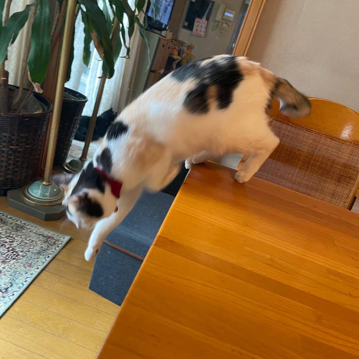 A5e58407 ce66 4148 be08 9248631b7d25 1725065069793