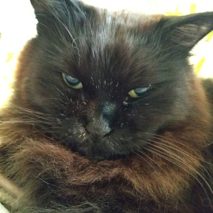 A5e585e2 664c 4c27 a51d 2a953bf07058 1681285973113