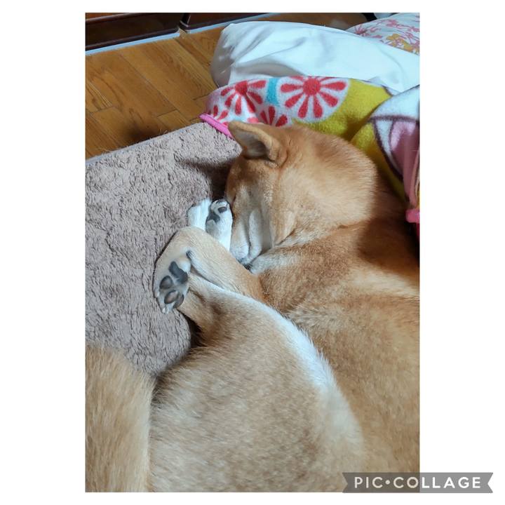 A5e5ec41 7563 477a a285 bfffa849b27e 1703855570886