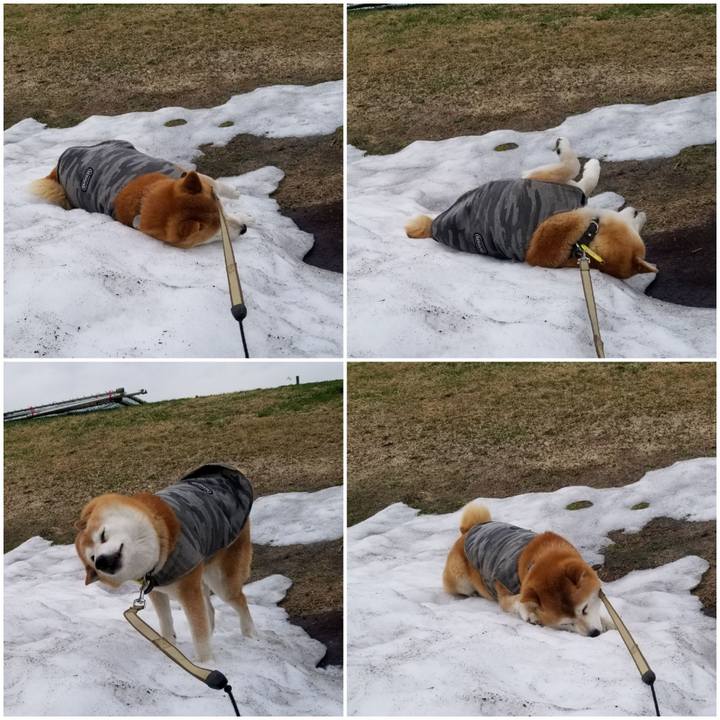 A5e5ec69 681d 45c7 892b 22f98174f9be 1650253311421