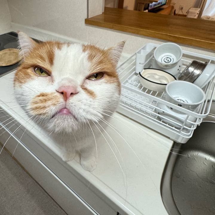 A5e5f19b 3de9 4911 b0f1 b641923e2308 1766535556343