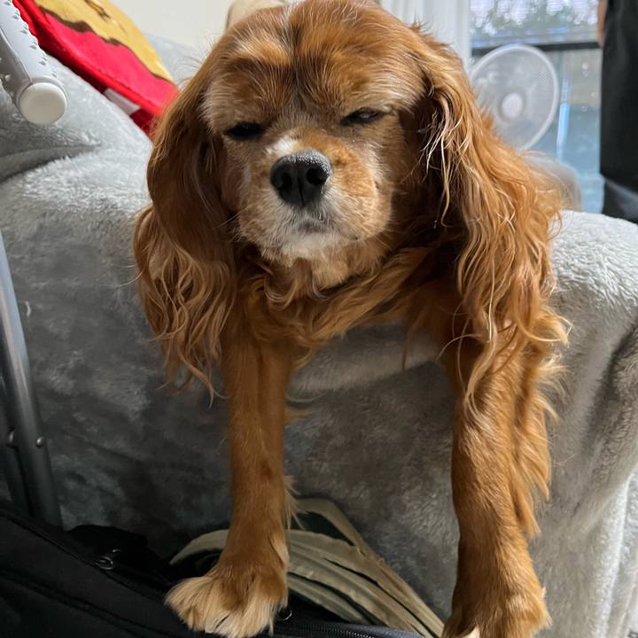 A5e6188a 8687 4e1c a488 df4b23d51e44 1728599275063