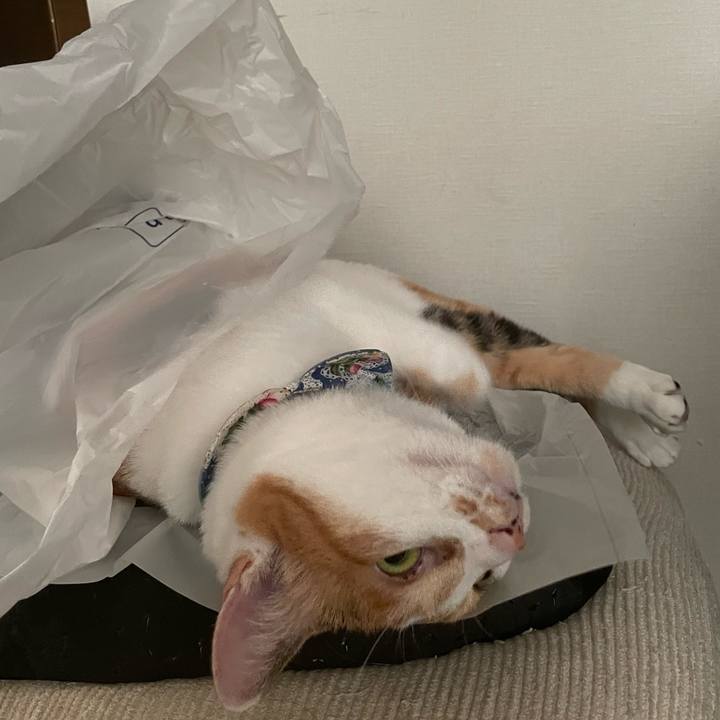 A5e62028 0764 46ae 8010 a94fcb5e4784 1725182070766