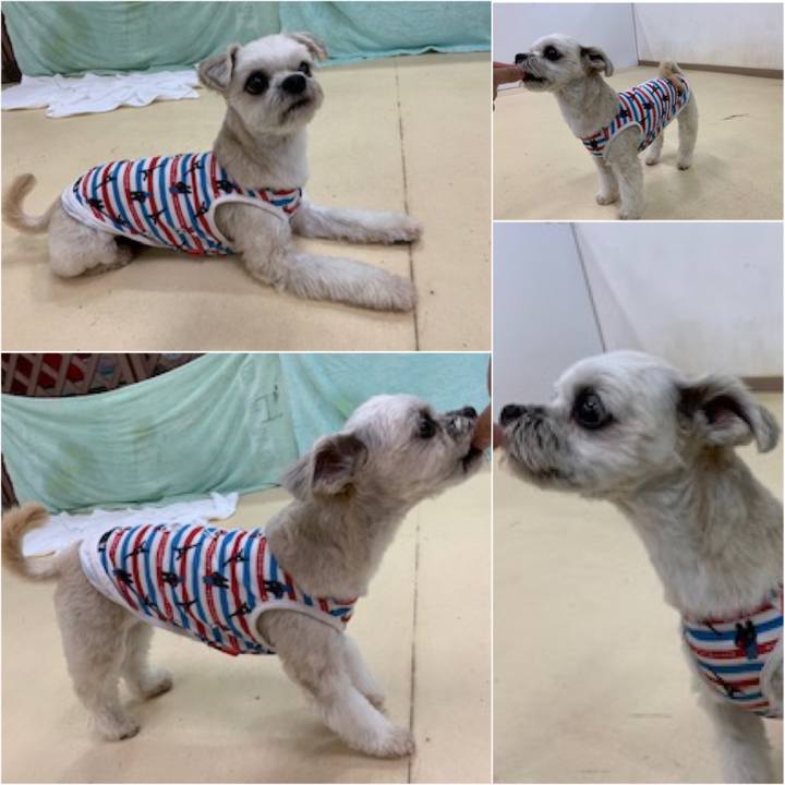 A5e6645f 8131 4b54 82d4 fe549903e8cd 1570798865287