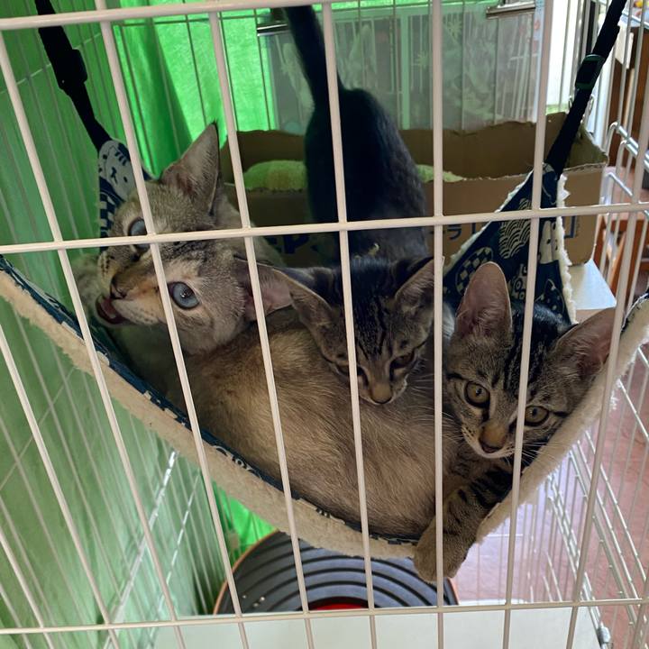 A5e66945 20d5 4f5e a7f5 e833e0fbfe09 1723001811821