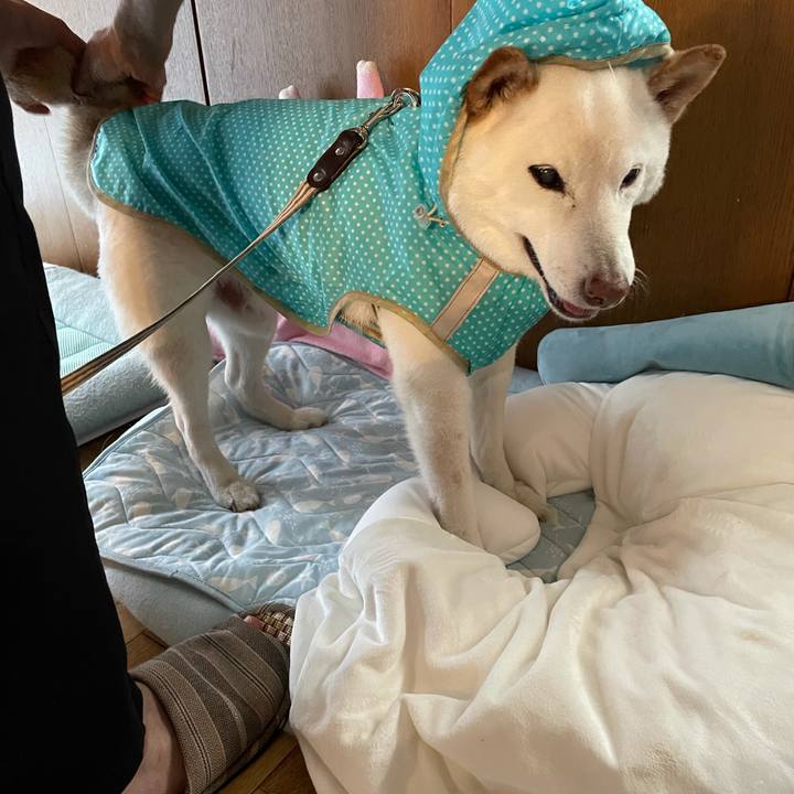 A5e67783 4046 4d04 9a04 e0547865b6a7 1634203097662