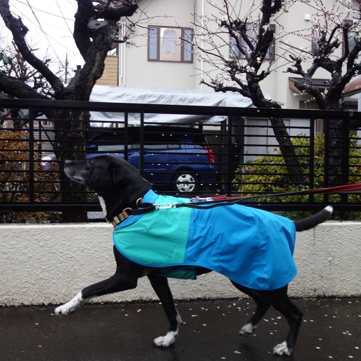 A5e6883e 23df 4083 a877 6d23a6c2e463 1708649022745