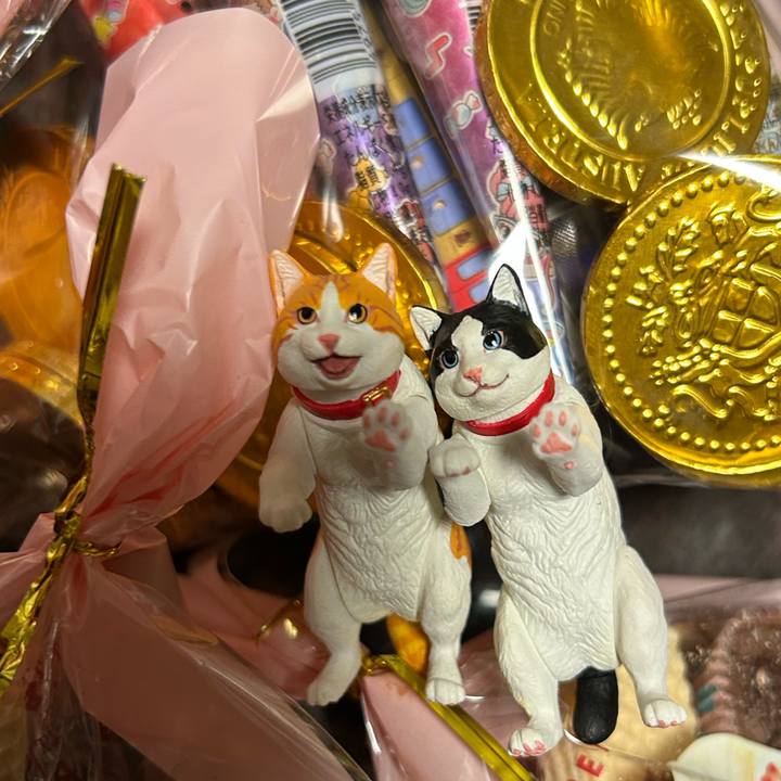 A5e68ddb bc16 4e73 bfcf a177c805245f 1676381667907