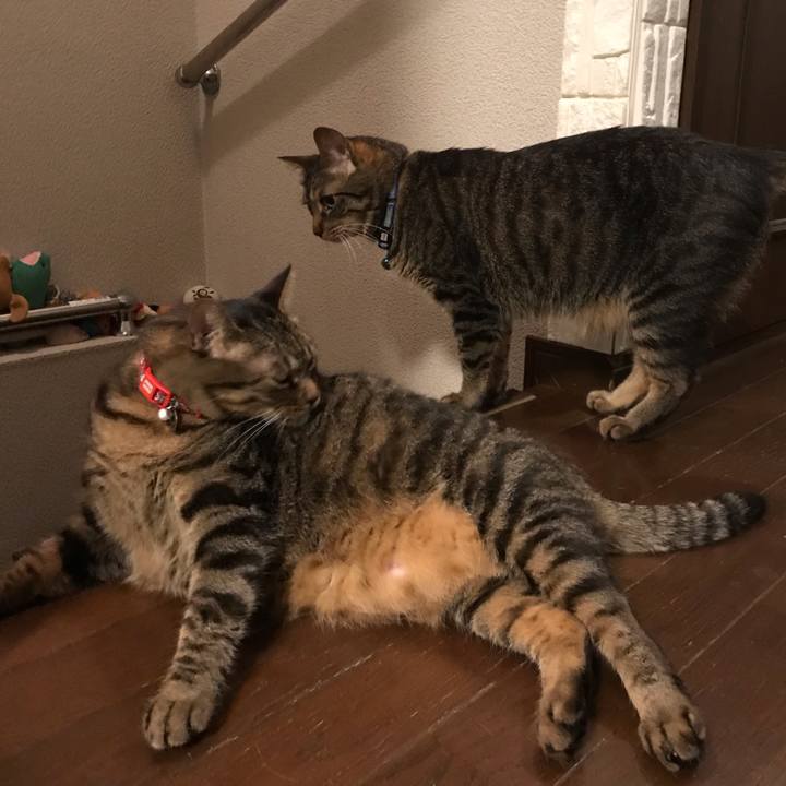 A5e6abea 0263 46f5 a74d 554f7a7d3fc5 1560621388820