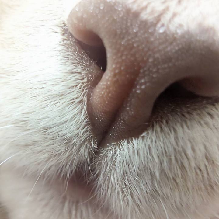 A5e6b094 4552 40aa aeb1 8c67696232af 1759464388560