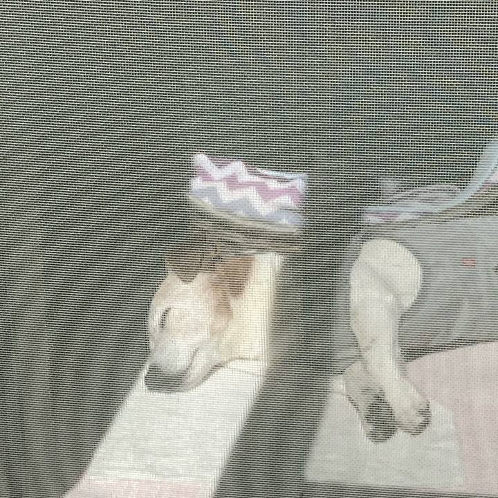 A5e6f109 2fd2 49d0 857d 763c9d7875b8 1775691781706