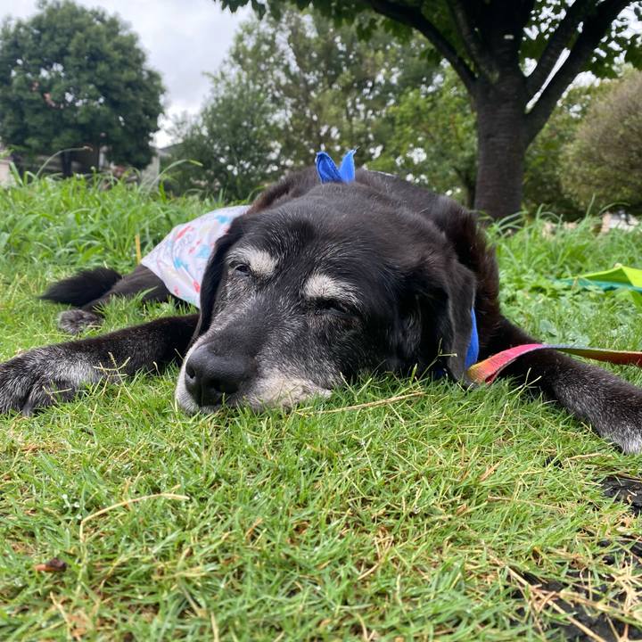 A5e6f2b6 2598 4402 b741 5504c756b60a 1752563034189