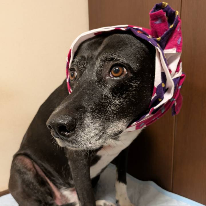 A5e6f552 a660 4e0f ac0e b3b7d8bef5f0 1754859566731