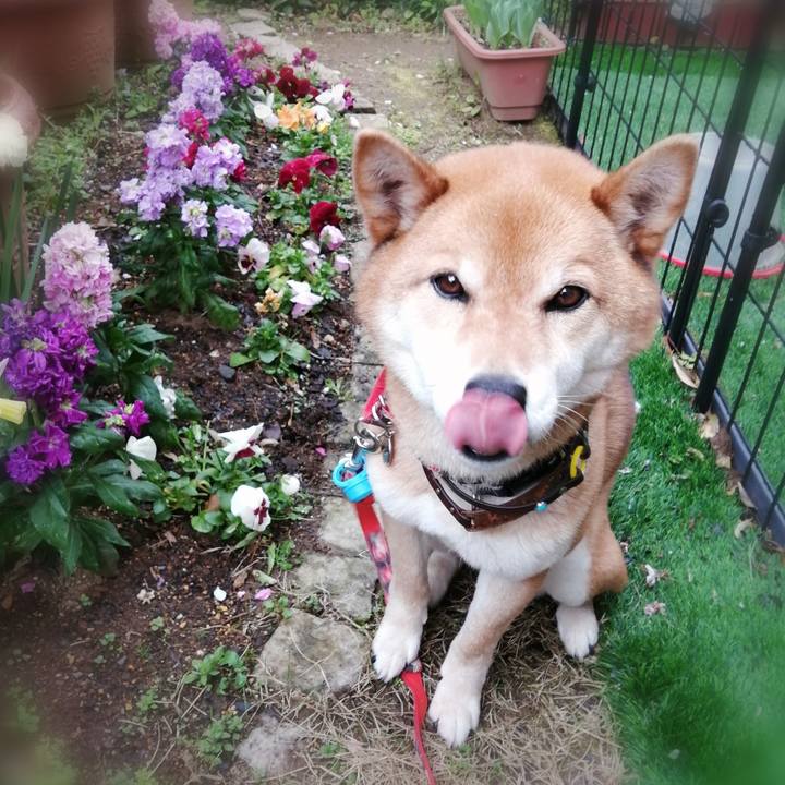 A5e7210d bca7 4ac8 ab6e c4abb0259ff1 1586070286747