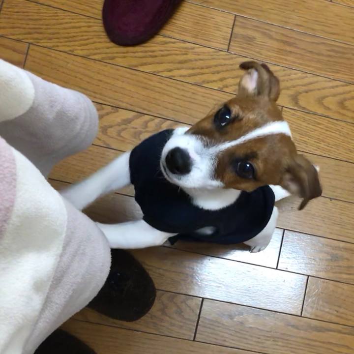 A5e753cd 4570 42c2 993e 8f5d1723ea0a 1516062914687