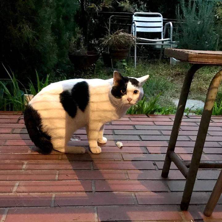 A5e781b7 d70c 457f 9c2e b2b8370960e1 1574825443573