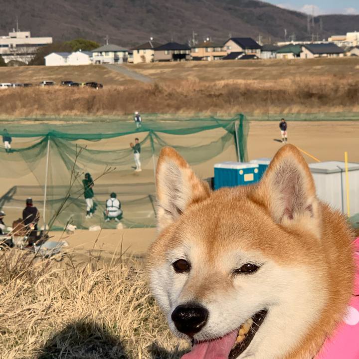 A5e78710 2ece 4552 869d fd4fd570ae6f 1644139507287