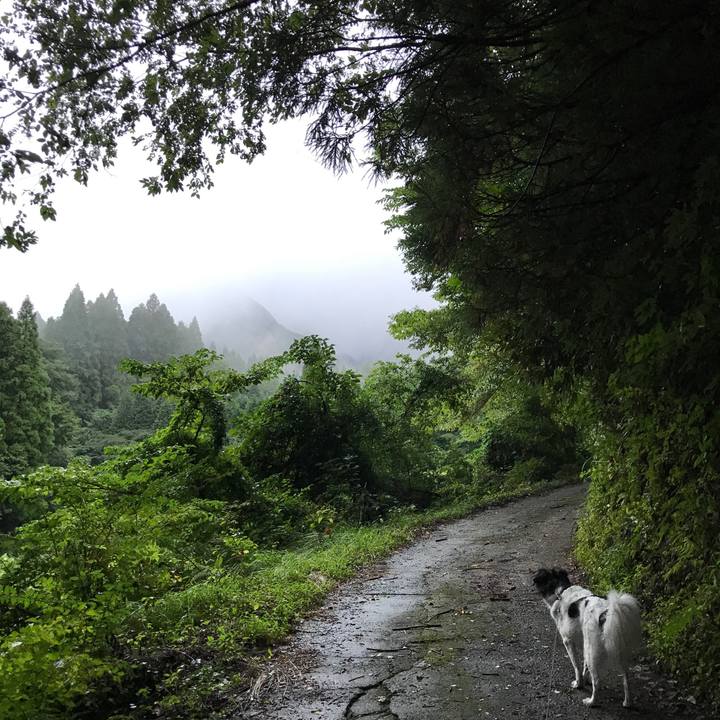 A5e7b0b6 e0ce 4660 bc63 28f56db2e344 1537624229282