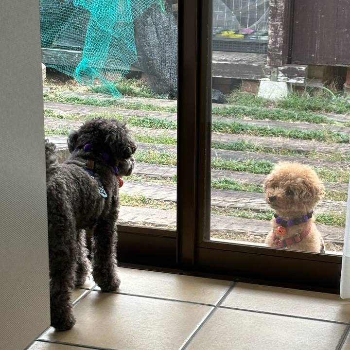 A5e7ffbc 39c7 45fd 86a2 5dac00dd6bf2 1730458036312