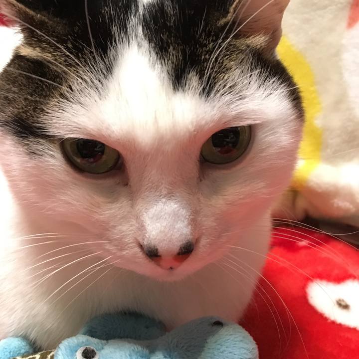 A5e804a2 02c7 4b99 a9fb ab801f31916d 1517235551770