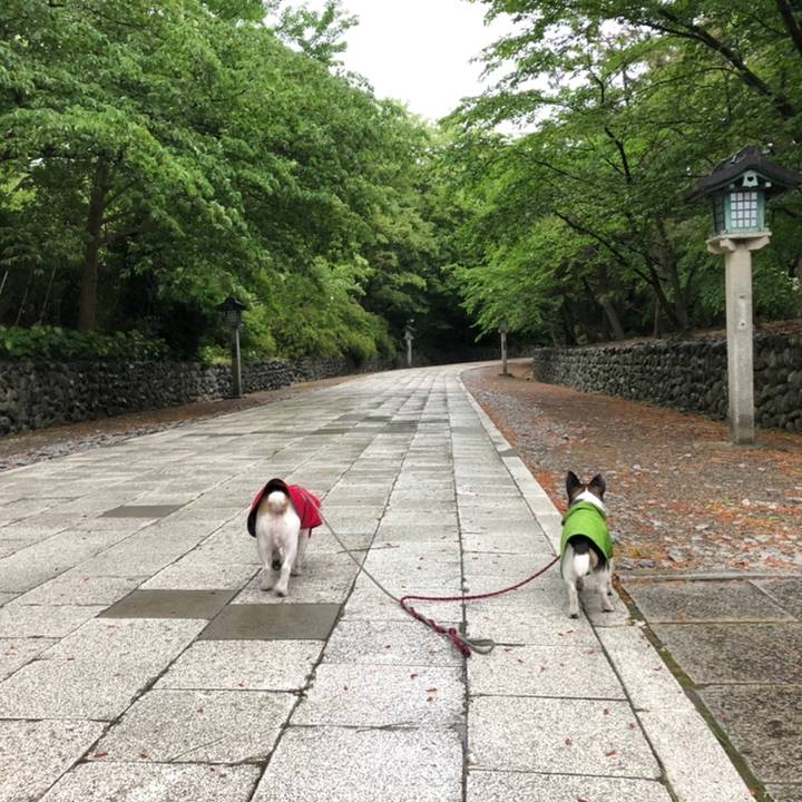 A5e817cf 8fb1 4440 93ac eaaae8db8176 1558396238295