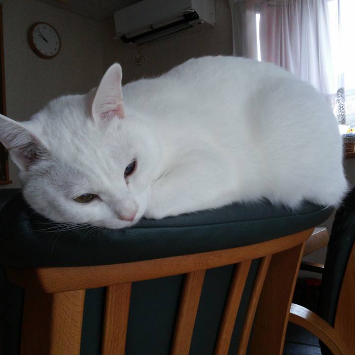 A5e8359f ca4c 46cd af03 c8c08bfd9478 1514249583424